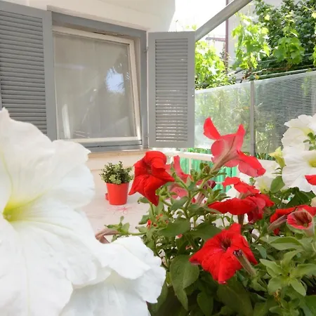 Apartament Sandy Bay